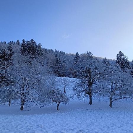 Gite Coeur De Haute-Savoie Viuz-en-Sallaz Extérieur photo