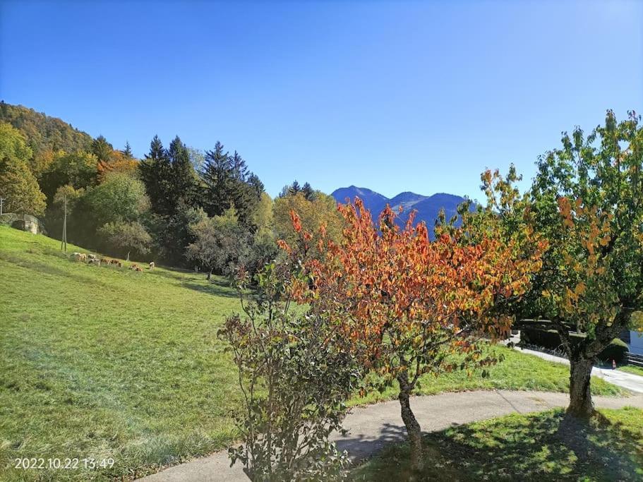 Gite Coeur De Haute-Savoie Viuz-en-Sallaz Extérieur photo