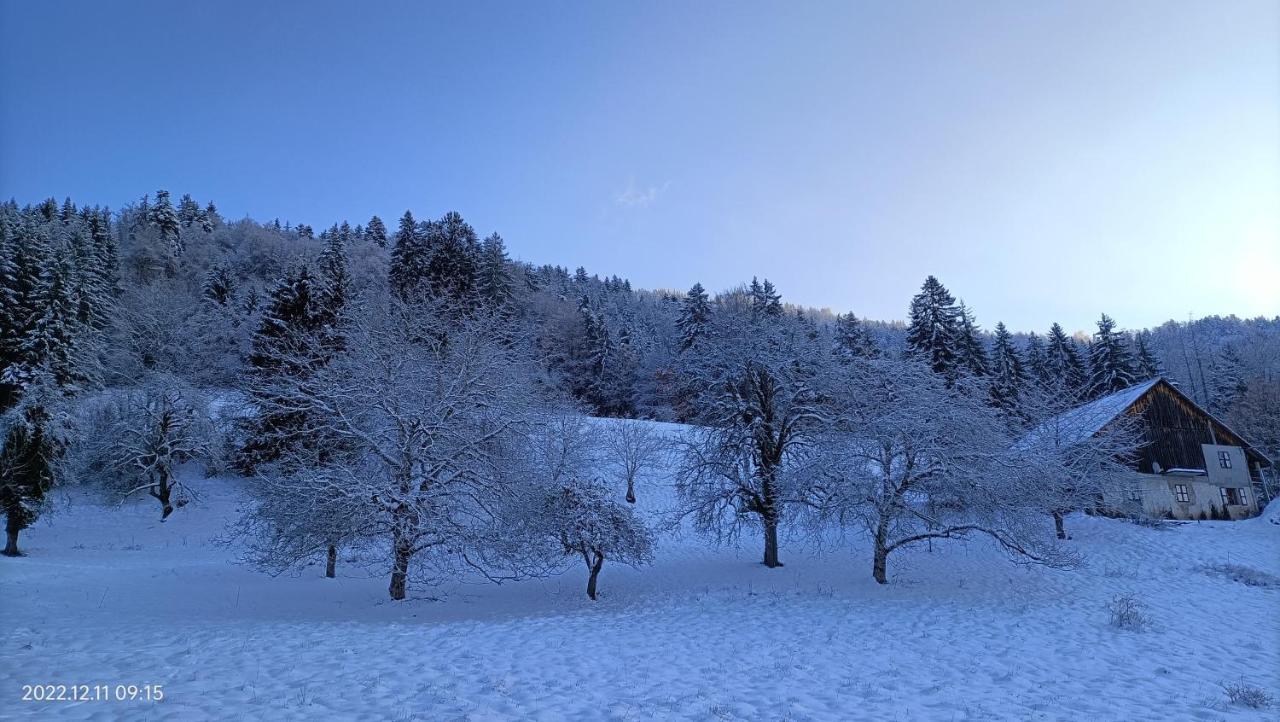 Gite Coeur De Haute-Savoie Viuz-en-Sallaz Extérieur photo