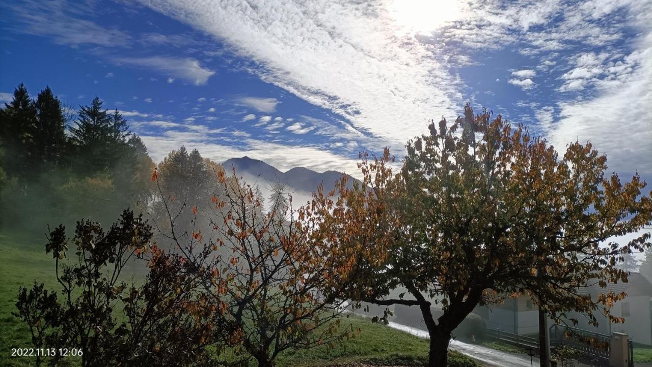 Gite Coeur De Haute-Savoie Viuz-en-Sallaz Extérieur photo