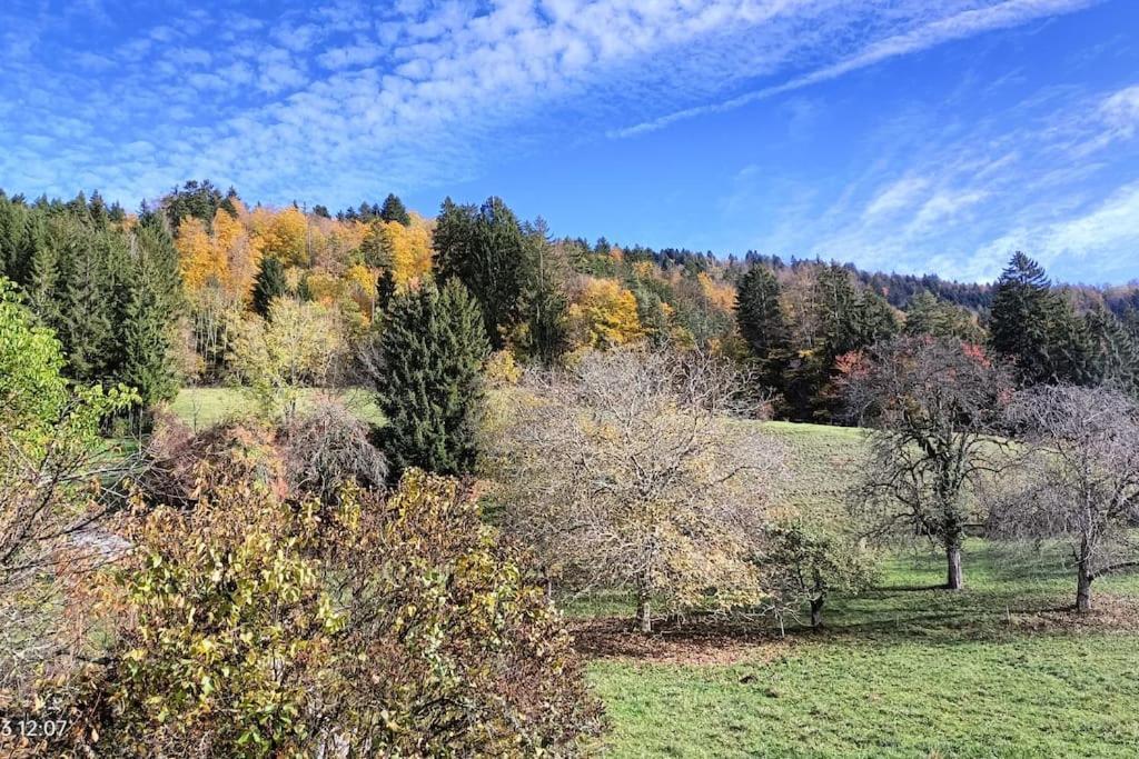 Gite Coeur De Haute-Savoie Viuz-en-Sallaz Extérieur photo